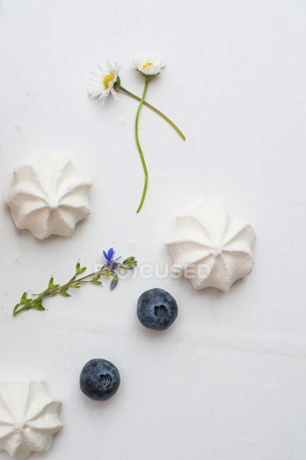 Meringue gems with blueberries and flowers — Stock Photo