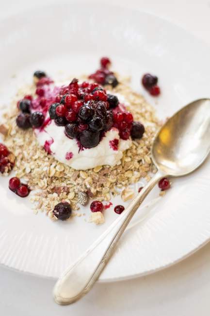 Porridge oats with Greek yoghurt and redcurrants — Stock Photo