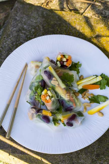 Rotoli estivi colorati con verdure su piatto bianco con bastoncini di legno — Foto stock