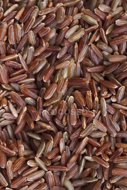 Dried uncooked red rice — Stock Photo