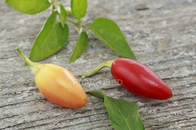 Red chillies from Vietnam — Stock Photo