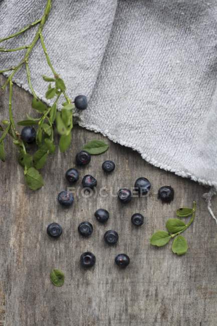 Ripe blueberries with leaves — Stock Photo