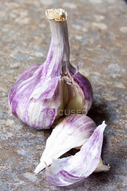 Dried purple Garlic bulb — Stock Photo