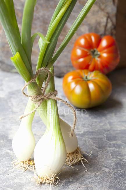 Rolos de primavera e tomates — Fotografia de Stock