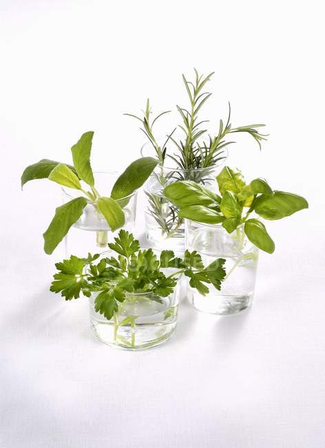 Feesh herbs in glasses of water — Stock Photo
