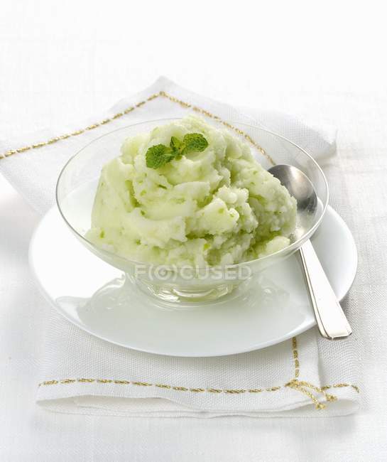 Organic and healthy Celery sorbet — Stock Photo