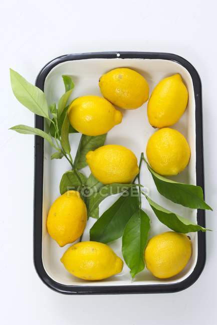 Lemons in enamel dish — Stock Photo