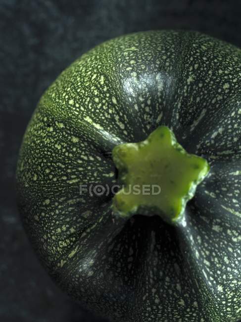 Vert Courgette ronde — Photo de stock