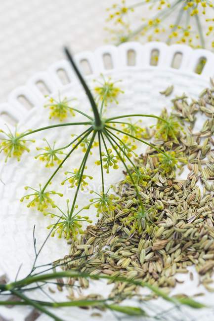 Semillas de hinojo y flores en un plato de cerámica - foto de stock