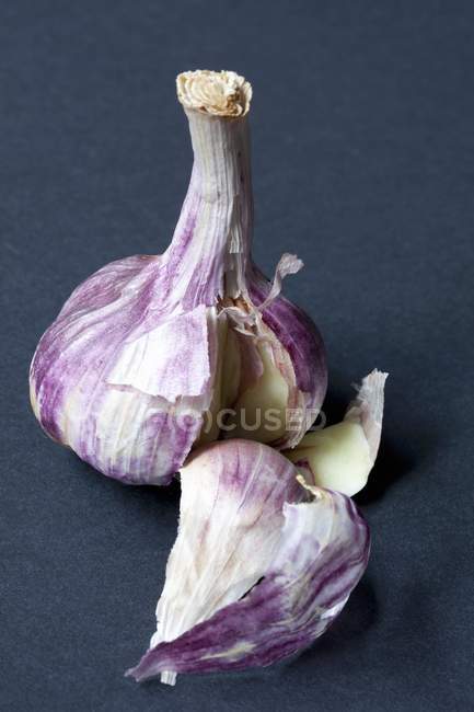 Bulbo de ajo púrpura - foto de stock