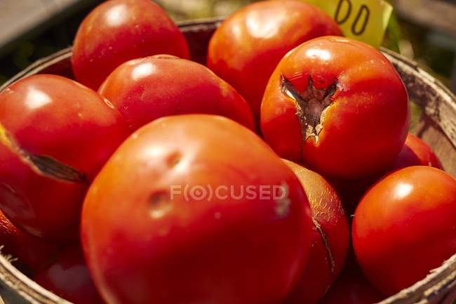 Кошик з червоних яловичих помідорів — стокове фото