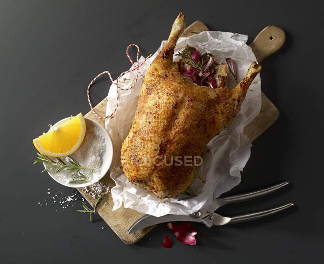 Ente gefüllt mit Zwiebeln — Stockfoto