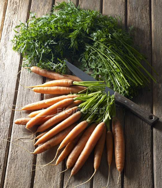 Ramo de zanahorias con hojas - foto de stock