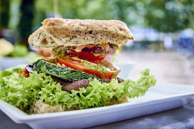 Wholemeal burger with vegetables — Stock Photo