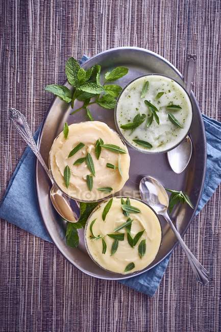 Different sorbets with mint leaves — Stock Photo