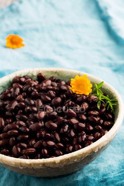 Black beans in dish — Stock Photo