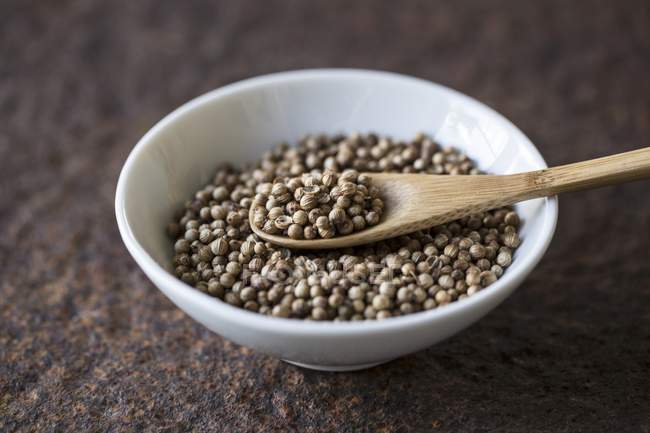 Coriander seeds with wooden spoon — Stock Photo