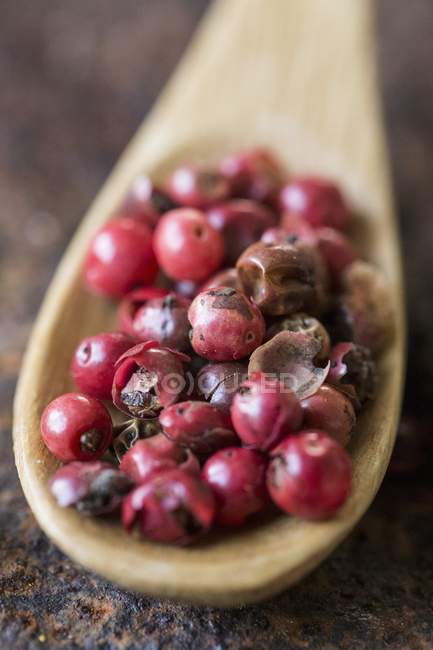 Red peppercorns on spoon — Stock Photo