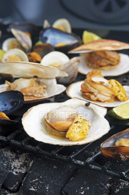 Grilled clams with lime — Stock Photo