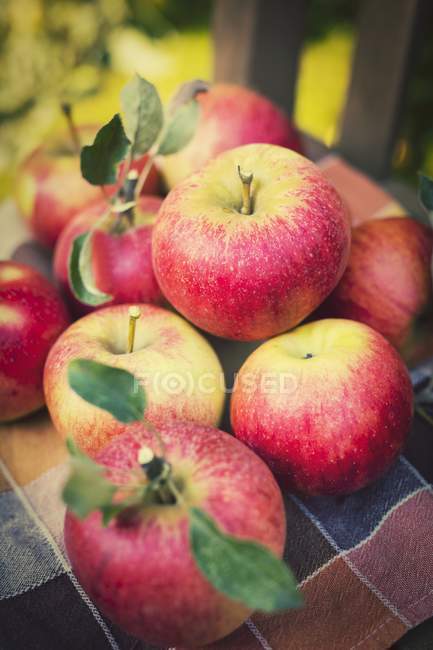 Manzanas frescas - foto de stock