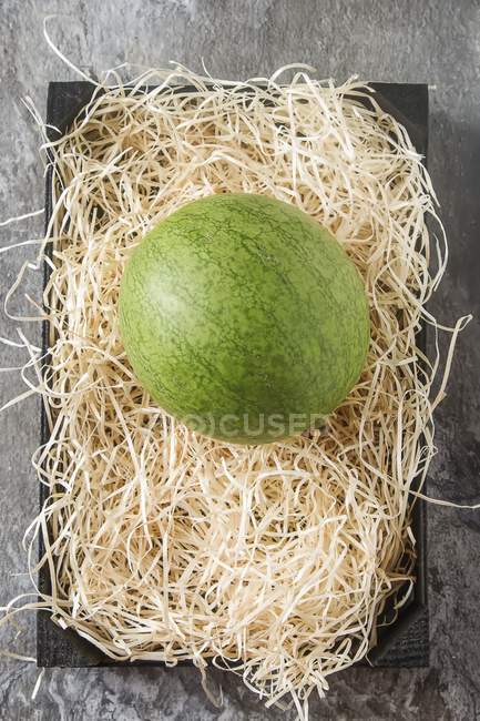 Round watermelon on hay — Stock Photo