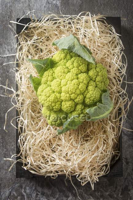 Green cauliflower on straw — Stock Photo