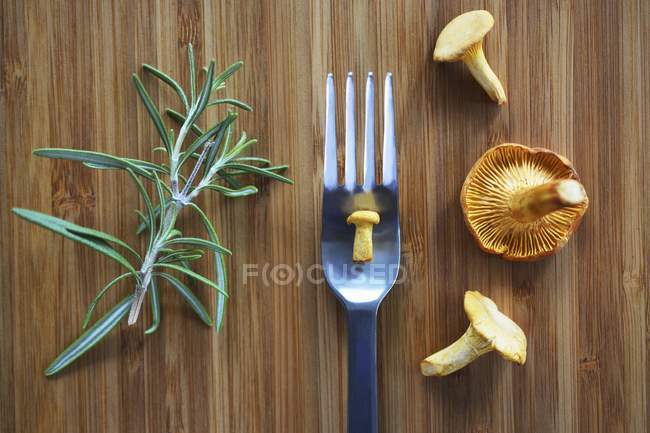 Chanterelle mushrooms and rosemary — Stock Photo