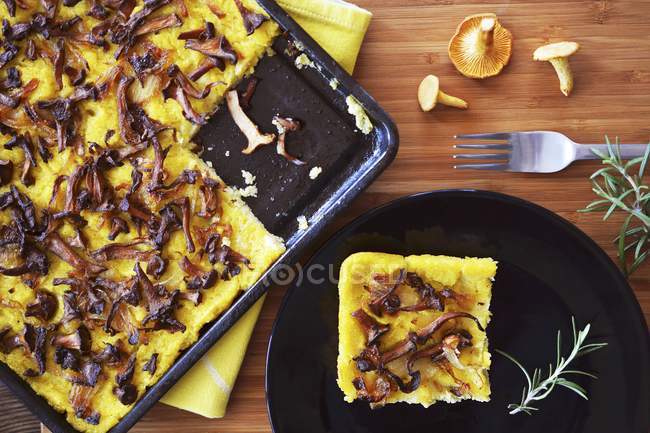 Polenta cake with mushrooms — Stock Photo