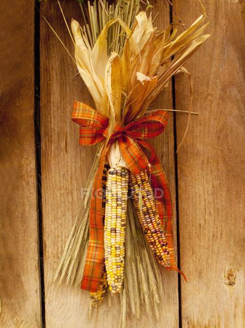 Mazorcas de maíz en pared de madera - foto de stock