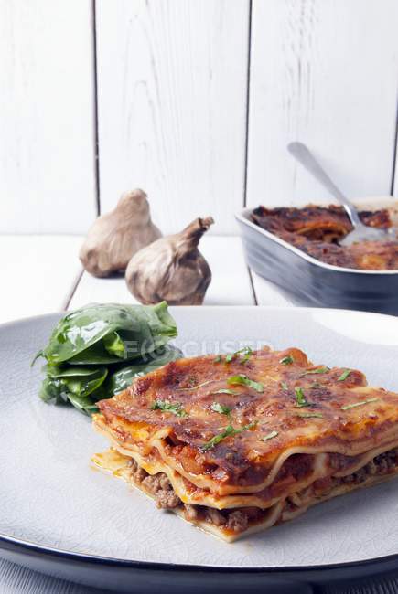 Homemade lasagne with spinach — Stock Photo