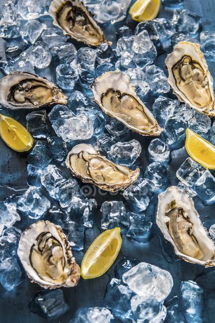 Fresh oysters with lemon wedges — Stock Photo