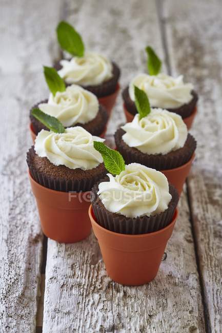 Cupcake al cioccolato con menta — Foto stock