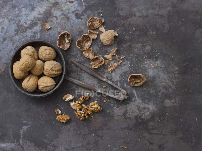 Nutcracker and walnut seeds — Stock Photo
