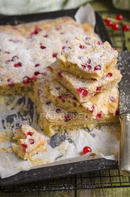 Apple and redcurrant cake — Stock Photo