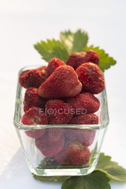 Gefriergetrocknete Erdbeeren mit Blättern — Stockfoto