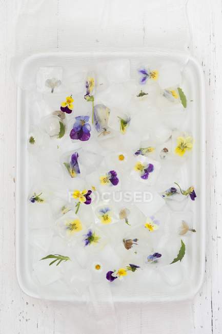 Cubos de hielo decorativos con flores comestibles - foto de stock