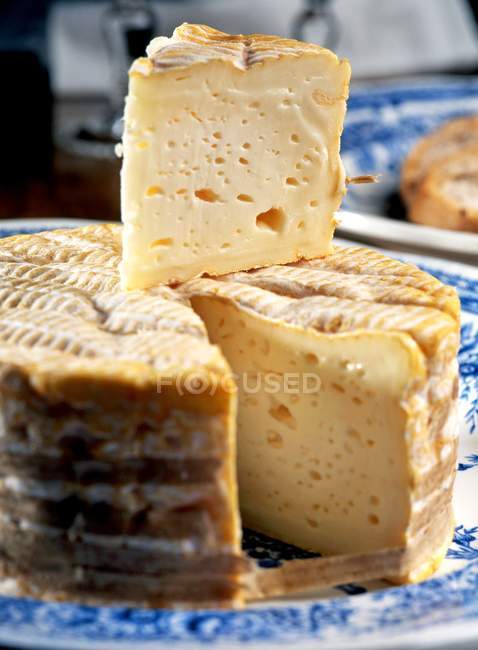 Soft cheese from Normandy — Stock Photo