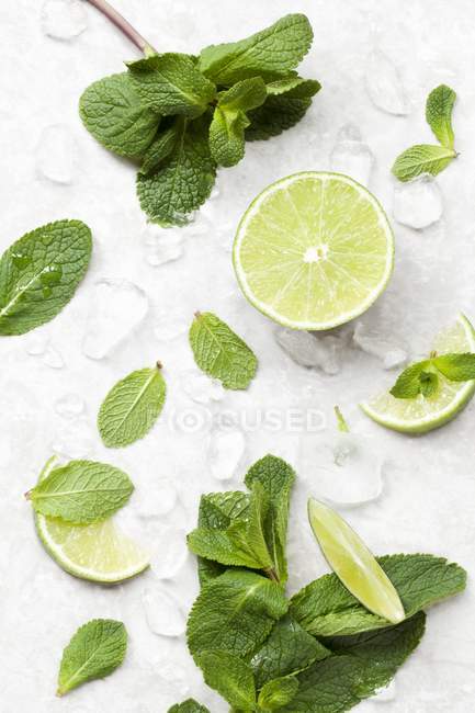 Sliced Limes with mint and ice — Stock Photo