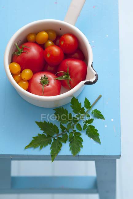 Cocinar con tomates en sartén - foto de stock