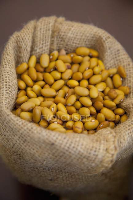 Organic beans in a bag — Stock Photo