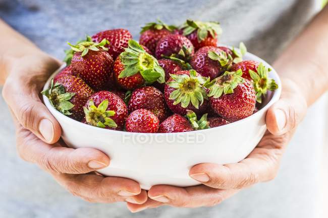 Female Hands holding bowl of strawberries — Stock Photo