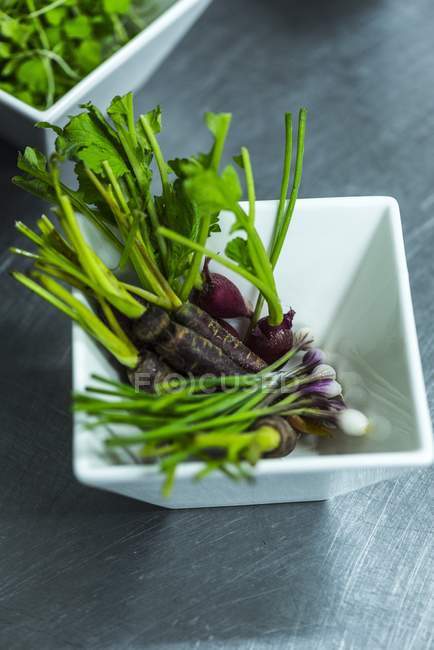 Um prato cheio de micro-legumes em prato quadrado — Fotografia de Stock