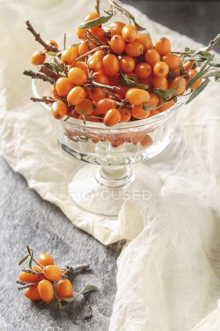 Fresh sea-buckthorn berries — Stock Photo