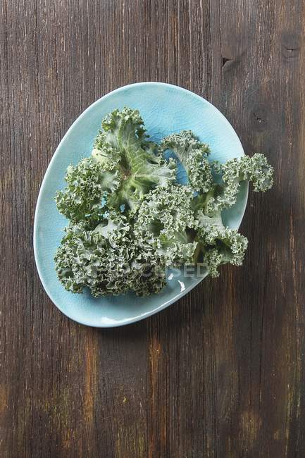 Fresh kale leaves on blue plate — Stock Photo