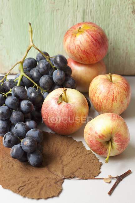 Black grapes on white surface — Stock Photo