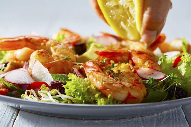 Salada de camarão no prato — Fotografia de Stock
