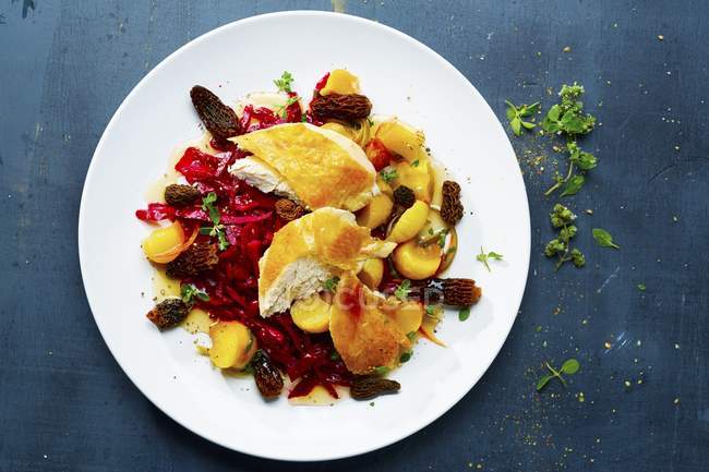 Turkey on a bed of red cabbage with morel mushrooms on white plate — Stock Photo