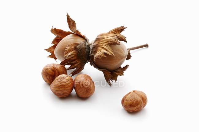 Whole and peeled hazelnuts — Stock Photo