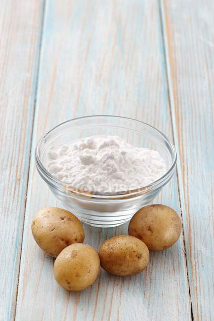 Potato flour and fresh potatoes — Stock Photo
