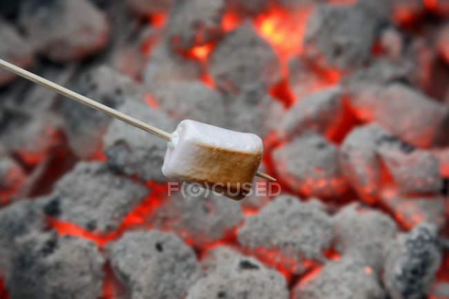 Marshmallow being grilled — Stock Photo